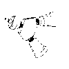 Surgivet® E Tank Connector